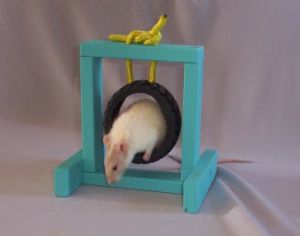 cleaning pet rat toys