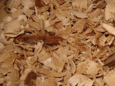 Wooden shavings can be dangerous for pet rats. Cedar shavings are toxic and deadly. Pine and other wood shavings can contain large amounts of dust, and may cause potentially severe respiratory distress depending on the animal's sensitivity.